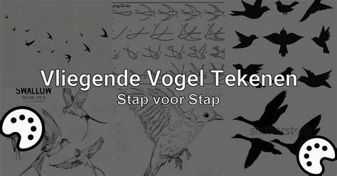  De Vliegende Vogel van Xandor: Een Mythische Ontsnapping uit de Perzische Wereld!